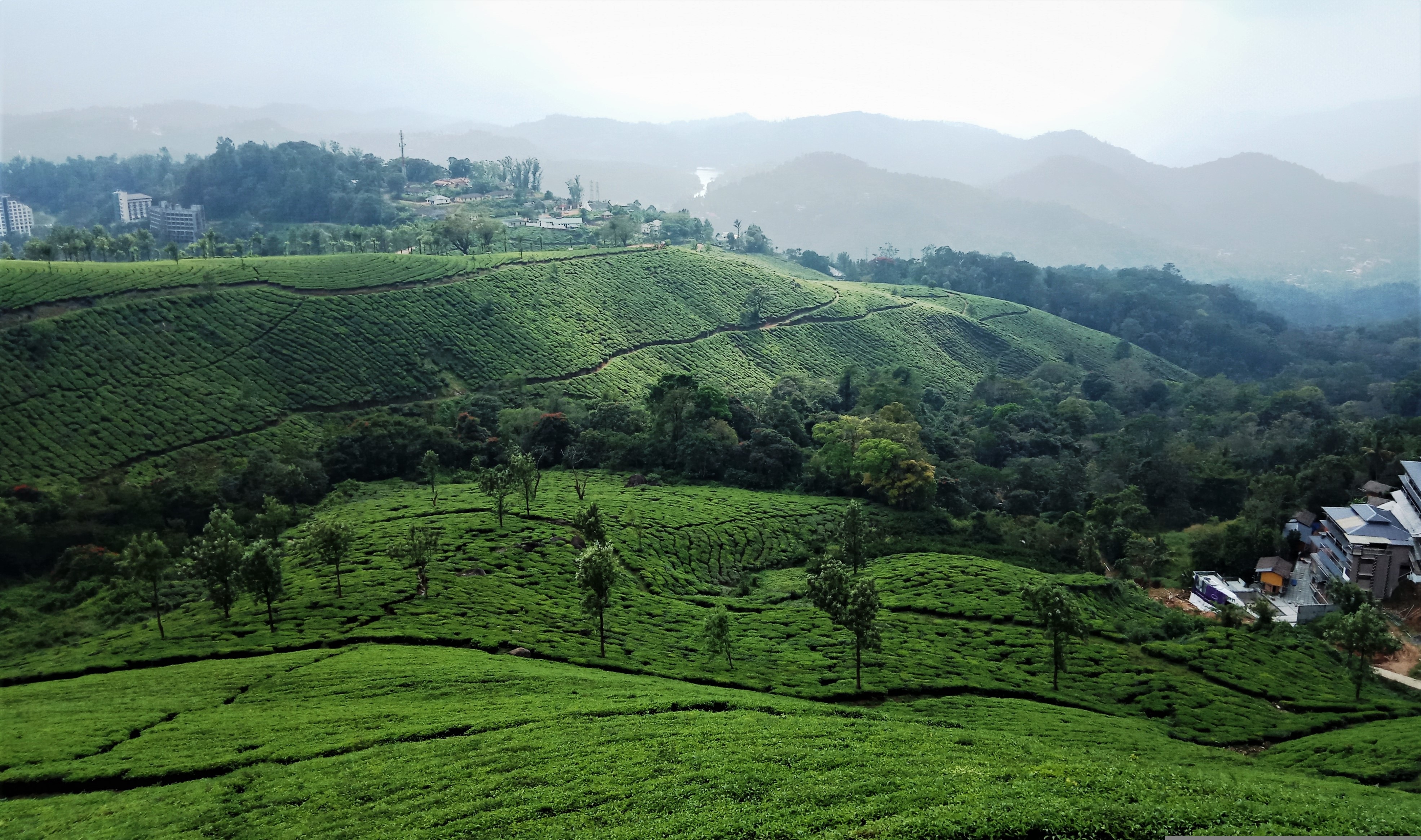 munnar kerala india tour 