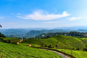Munnar kerala tour package