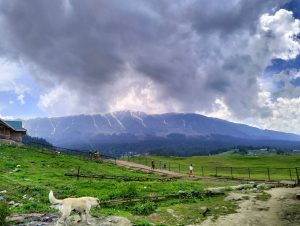 Kashmir tour package